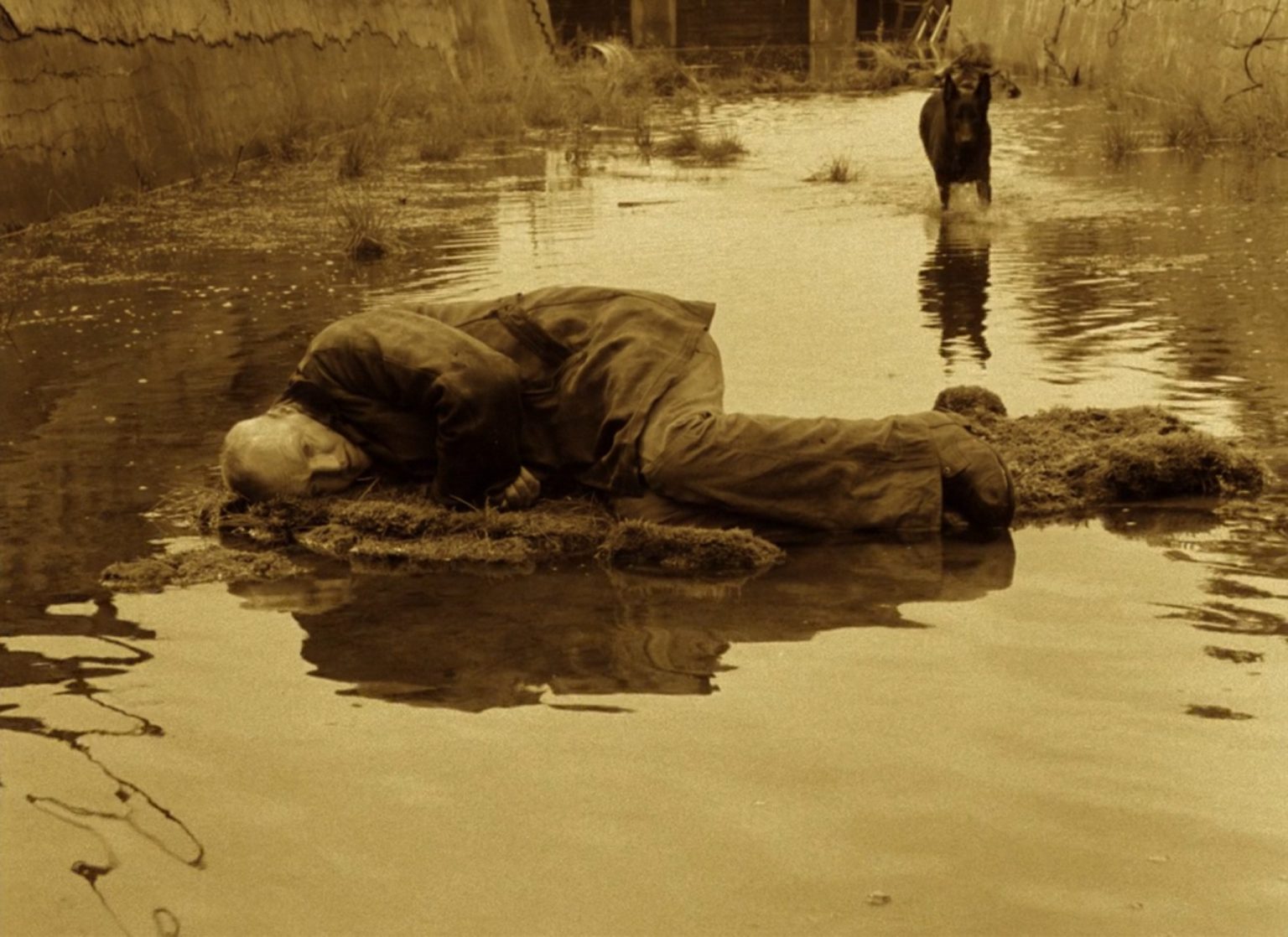 Still from Andrei Tarkovsky's Stalker of man lying down in a river